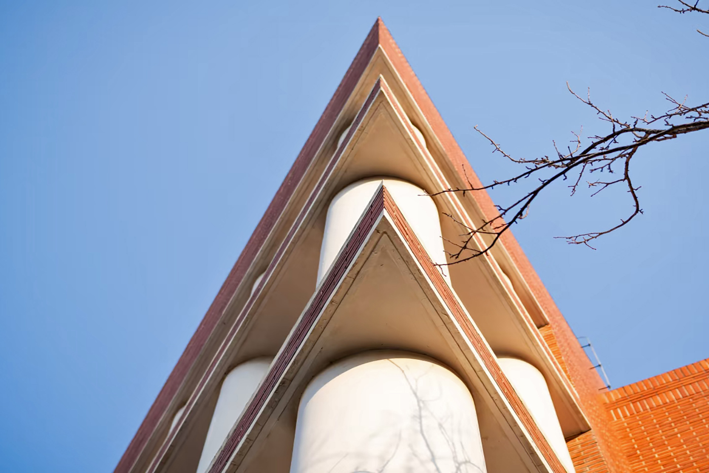 北林秋色（浅金色调）