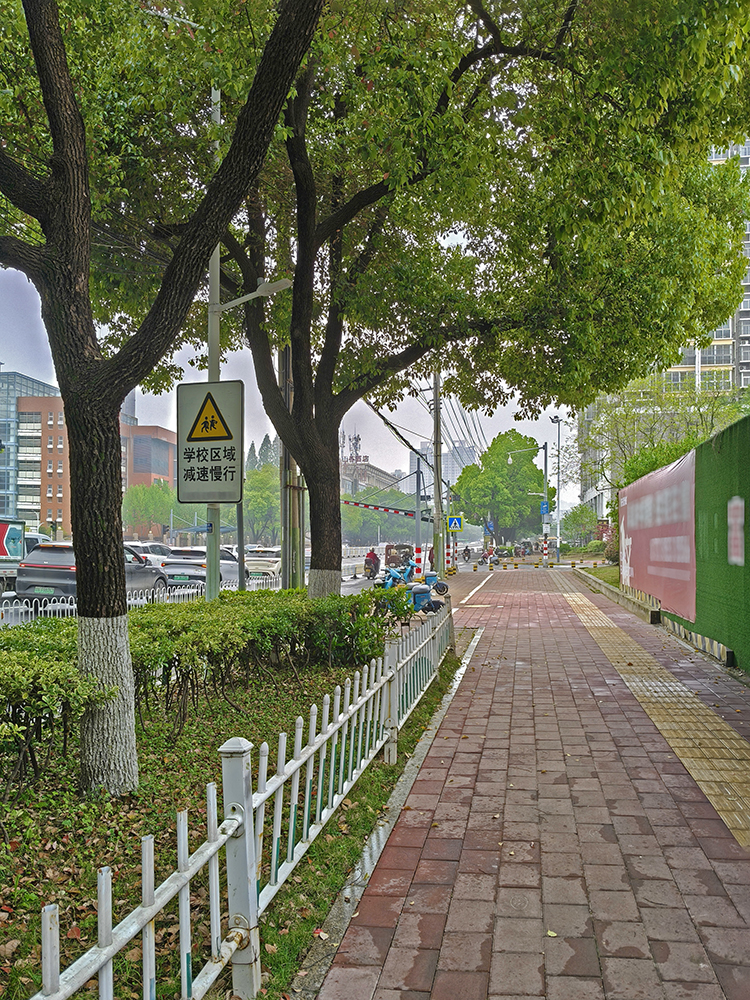 春雨后的随拍 春雨后的随拍