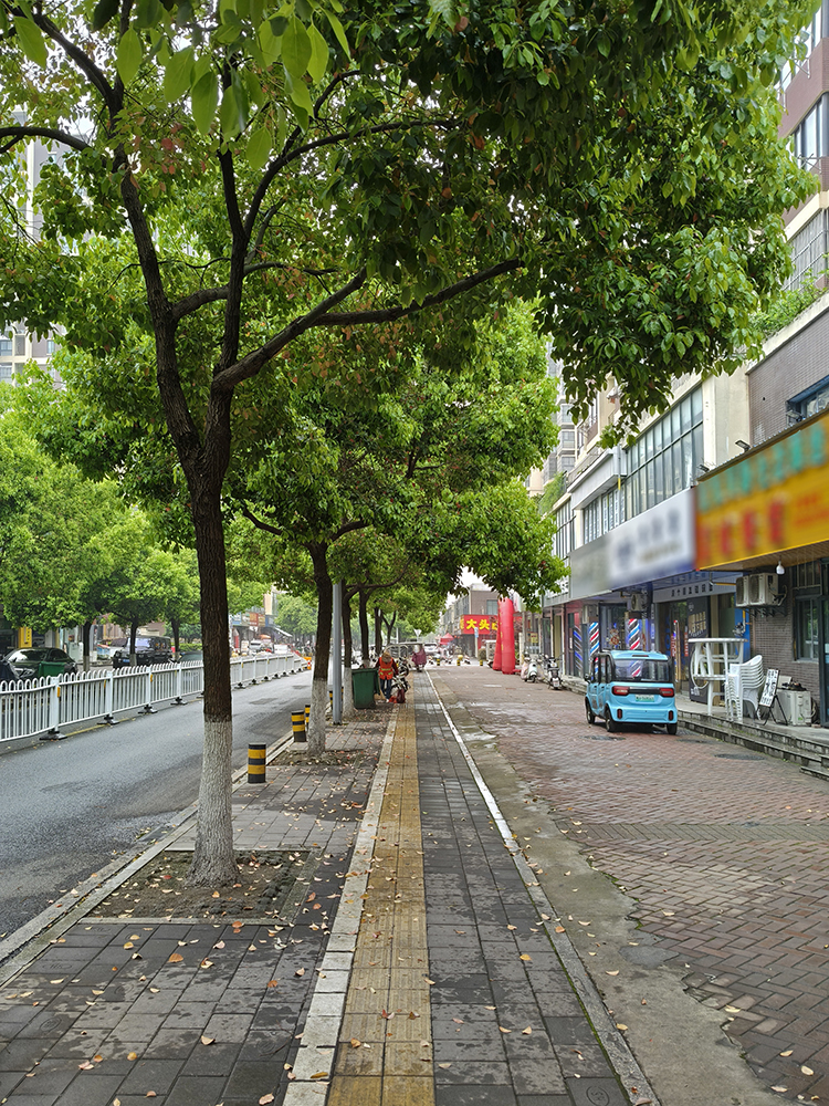春雨后的随拍 春雨后的随拍